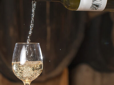 Vini Erice Doc