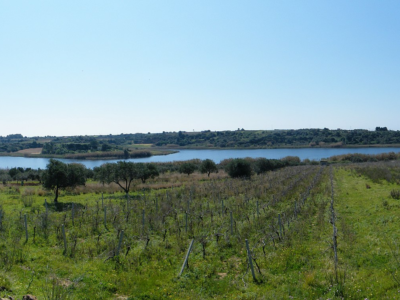 Riserva Naturale Integrata Lago Preola e Gorghi Tondi Mazara del Vallo Riserva Naturale Integrata Lago Preola e Gorghi Tondi